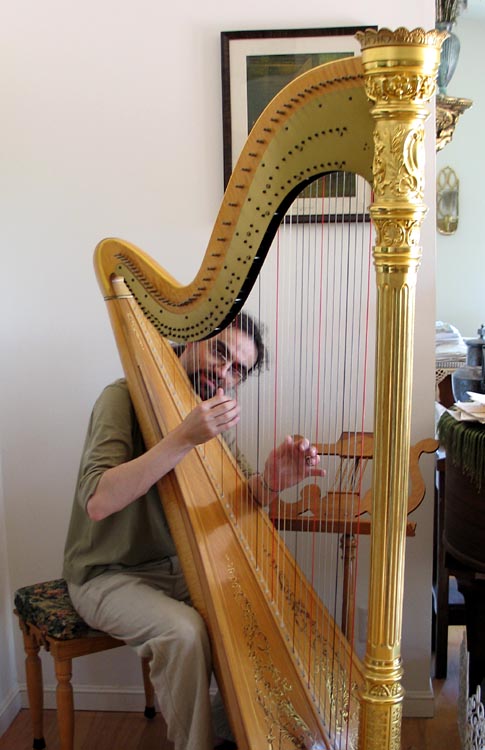 Concert Harp